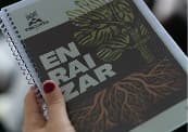 Enraizar